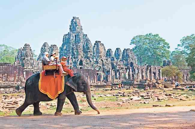 柬埔寨吴哥窟『大象载客』将被取缔让动物回归自然